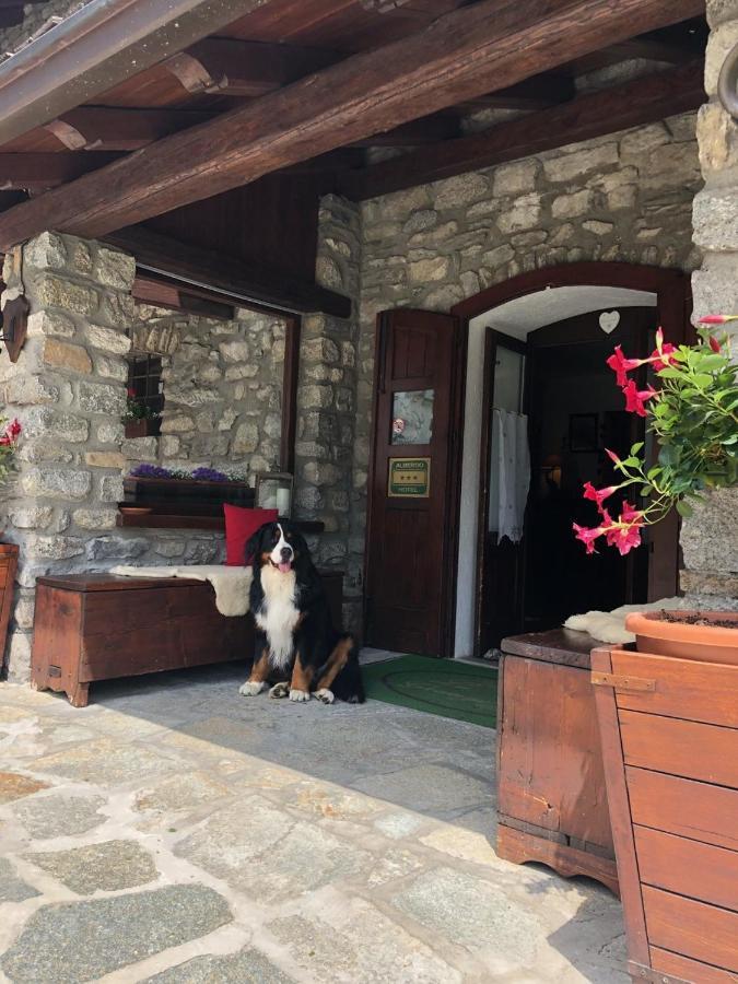 Hotel La Grange - Animal Chic Hotel Courmayeur Eksteriør bilde
