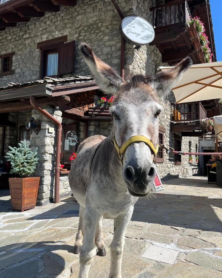 Hotel La Grange - Animal Chic Hotel Courmayeur Eksteriør bilde