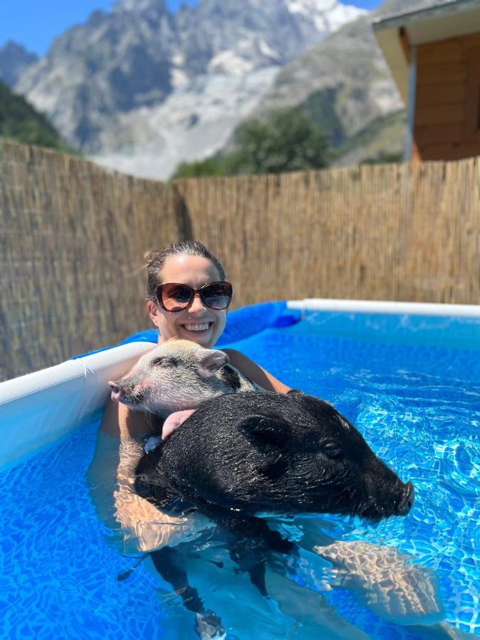 Hotel La Grange - Animal Chic Hotel Courmayeur Eksteriør bilde